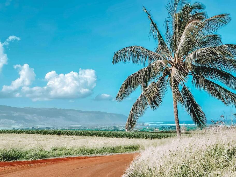 Hotel Cute Off Grid Glampsite With Wifi- 5 Min From Haleiwa Town Esterno foto