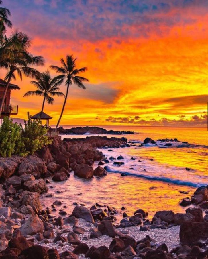 Hotel Cute Off Grid Glampsite With Wifi- 5 Min From Haleiwa Town Esterno foto